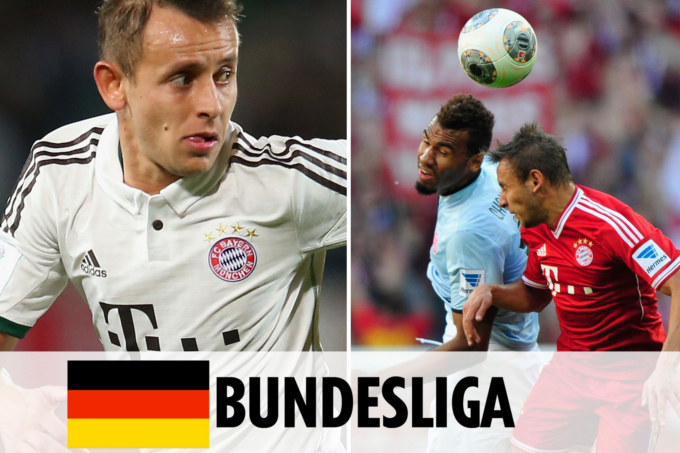 可能的动机 可能的动机