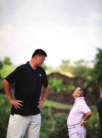 的新主帅充 的新主帅充