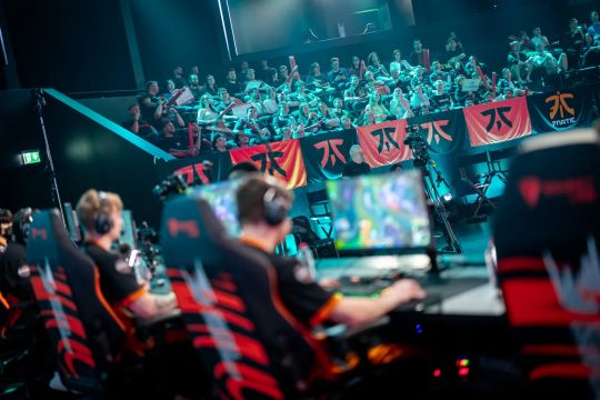 显著提高 显著提高