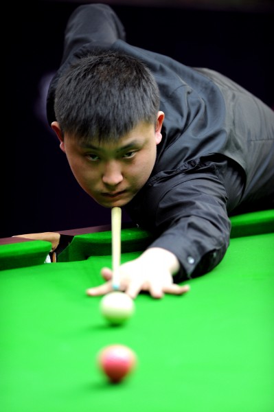 習慣人工草 習慣人工草