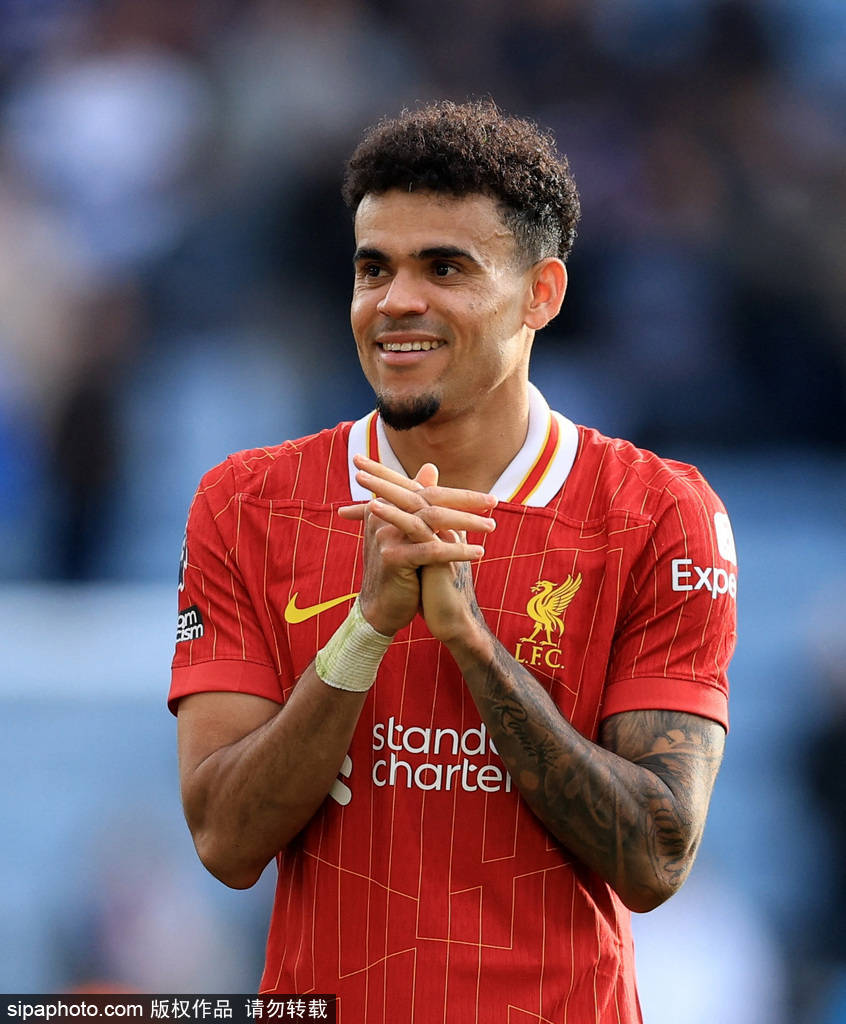 阵容的整体 阵容的整体